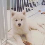 Rick DiStefano - @dino059 - Instagram