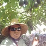 Rick Dominguez - @rickthefarmer_ - Instagram
