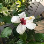 Rick Dominguez - Facebook