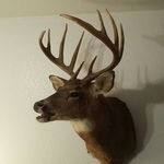 Rick Donaldson - @rick.donaldson.98 - Instagram