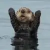 rickdonaldson46 - @rick.donaldson5 - TikTok
