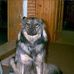 Rick Dorman - Facebook