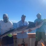 Rick Dorman - @rick_dorman - Instagram