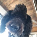 Rick Drews - @rickdrews - Instagram