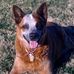 Rick Dusek - Facebook