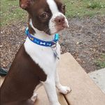 Rick Easton - @rickeaston734 - Instagram