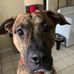 Rick Eisenhauer - Facebook