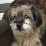 Richard Emmerth - @rickemmerth - Instagram
