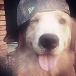 henriquetaluvnjz - @rickervinhotinto - Instagram