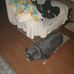 Rick Irvin - Facebook