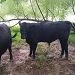 Rick Estes - @rick.estes.5070 - Instagram