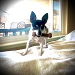 Rick Frazier - @bigpix91011 - Instagram