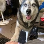 Rick Frazier - @smokey26003 - Instagram