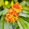 Kamlesh_RAM - @rick.hoffmann421 - TikTok