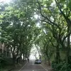 Rick Ji - @rickji1 - TikTok