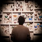 Riccardo Carnazza - @rick.joyboy - Instagram
