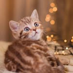 Rick joy - @rickjoy6 - Instagram