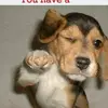 rickkoenig143 - @rickkoenig143 - TikTok