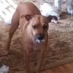 Rick Kohler - @kohler.rick - Instagram