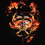 Rick Krebs - @rick_j_krebs - Instagram