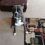 Rick krueger - @bak106 - Instagram