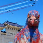 Rick Kuo - @rick_kuo - Instagram