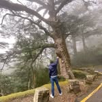 Rick Kuo - @rickcskuo - Instagram