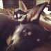 Rick Lamm - Facebook