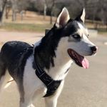 Ranger Rick - @ranger_rick_landers - Instagram