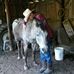 Rick Langley - Facebook