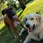 Rick Langley - @rlangley13 - Instagram