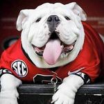 Rick Langston - @langston_rick - Instagram