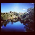 Rick Laws - @rick_laws - Instagram