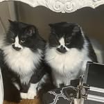 Rick Lawson - @rick_lawson1089 - Instagram