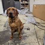 Rick LeDuc - @rodder4hire - Instagram