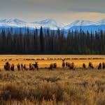 Rick Loewen - @rickloewen171 - Instagram