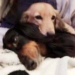 RICK & LUNA - @rick.luna.lino - Instagram