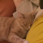 Rick Lyon - @ricklyon09 - Instagram