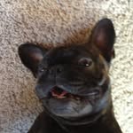 Rick Lyons - @ricklyons24 - Instagram