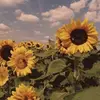 rick.maker - @rick.maker - TikTok