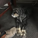 Rick Manuel - @rickmanuel2354 - Instagram