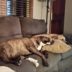 Rick Deb Marek - @rickmarek - Instagram