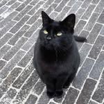 RickMarteaux - @rickmarteaux - Instagram