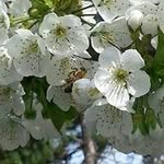 Rick Martindale - @ricka751 - Instagram
