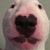 Josh - @rickmartino - TikTok