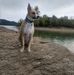 Rick Mayes - Facebook