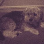 Rick Mayes - @rick.mayes.984 - Instagram