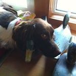 Rick Mayes - @rmayes1 - Instagram