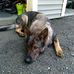 Rick Maynard - Facebook