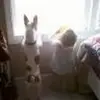 Rick McBride - @rick.mcbride0 - TikTok